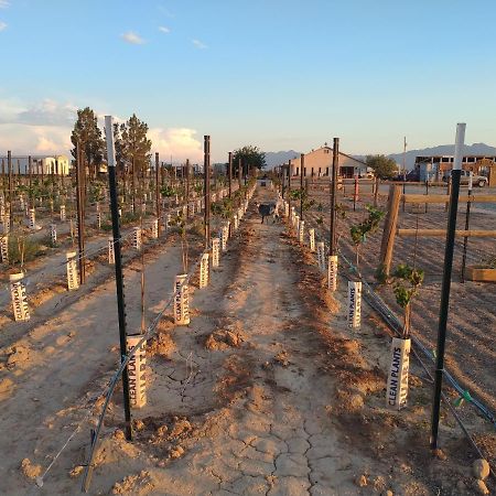 Black Star Ranch Vineyard باهرومب المظهر الخارجي الصورة
